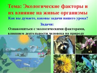 Как вы думаете, каковы задачи нашего урока? Тема: Экологические факторы и их