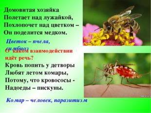 Домовитая хозяйка Полетает над лужайкой, Похлопочет над цветком – Он поделитс