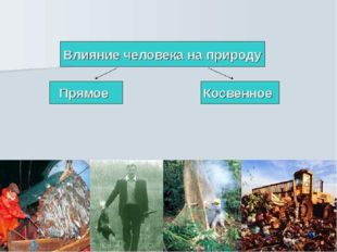 Однажды на ужин испробовать волк, вдруг захотел червяка. - Тьфу… Гадость кака