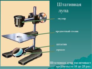 Штативная лупа штатив зеркало предметный столик Штативная лупа увеличивает пр