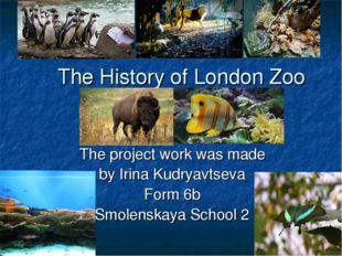 The History of London Zoo The project work was made by Irina Kudryavtseva For