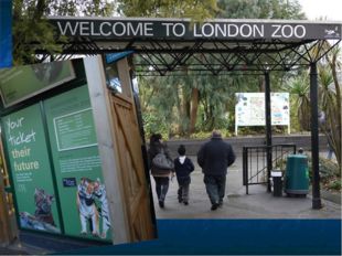 On this map of London Zoo you can see all places for visit and inhabitants wh