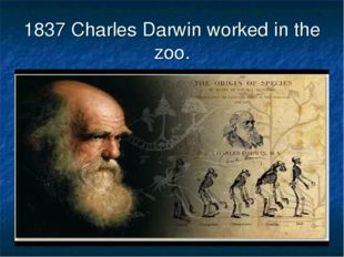 1837 Charles Darwin worked in the zoo. 