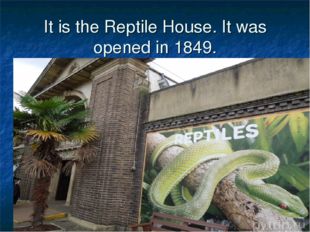 It is the Reptile House. It was opened in 1849. 