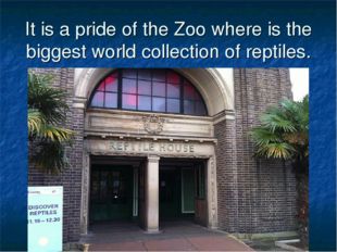 It is a pride of the Zoo where is the biggest world collection of reptiles. 