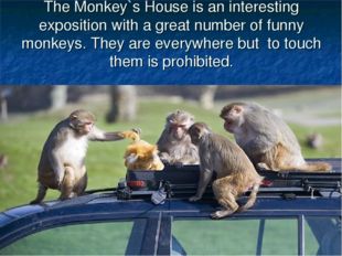 The Monkey`s House is an interesting exposition with a great number of funny