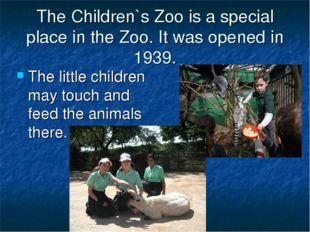 The Children`s Zoo is a special place in the Zoo. It was opened in 1939. The