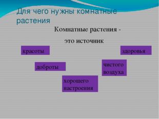 Для чего нужны комнатные растения Комнатные растения - это источник красоты х