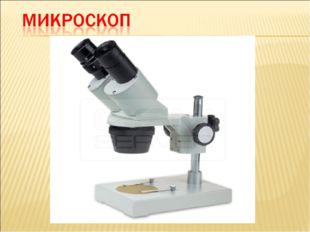 Микроскоп – оптический прибор с сильно увеличивающими стёклами для рассматрив