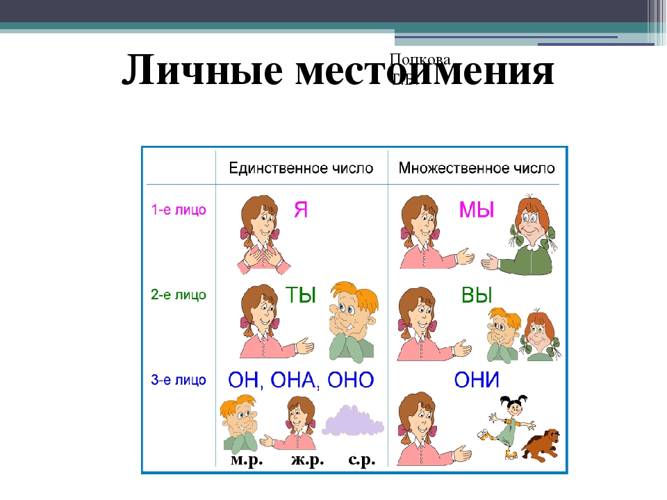 Загадки множественного числа. Местоимение. Местоимения в русском языке. Личные местоимения в русском языке. Личные местоимения в русском языке 4 класс.