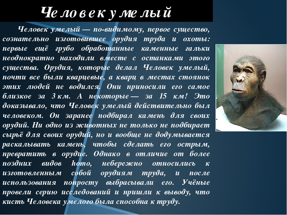 Homo habilis появился. Человек умелый человек. Человек умелый сообщение. Человек умелый умения. Человек умелый способности.