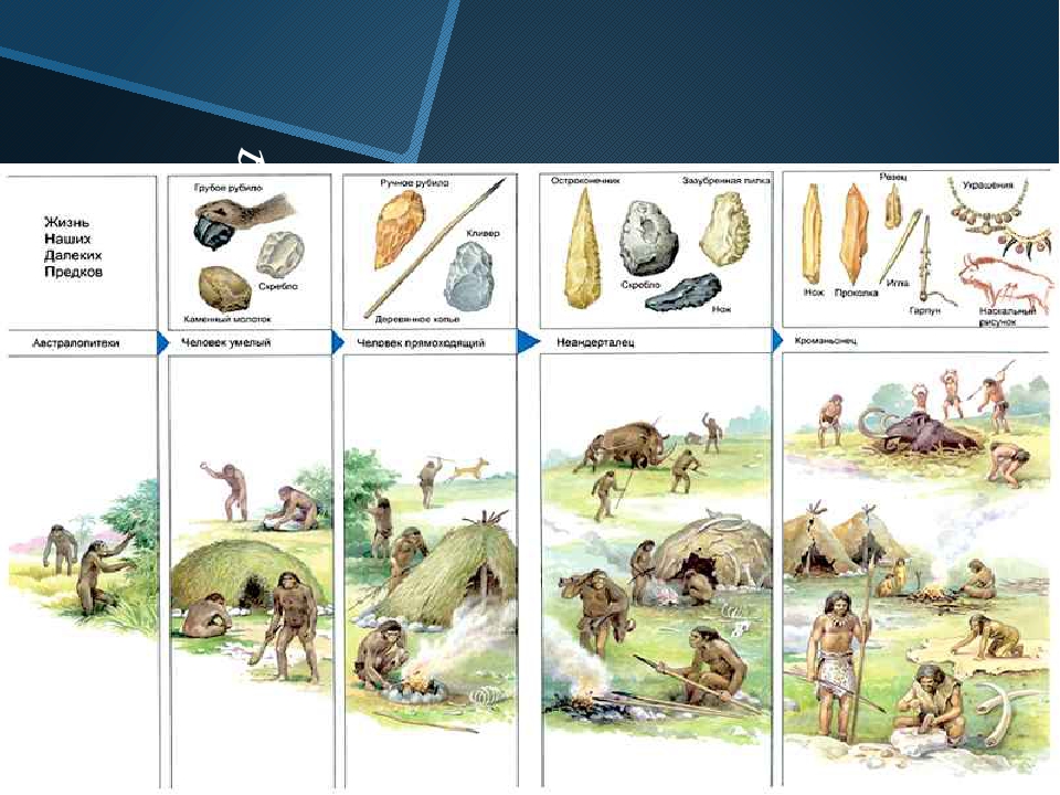 Проект как появился человек на земле 5 класс биология