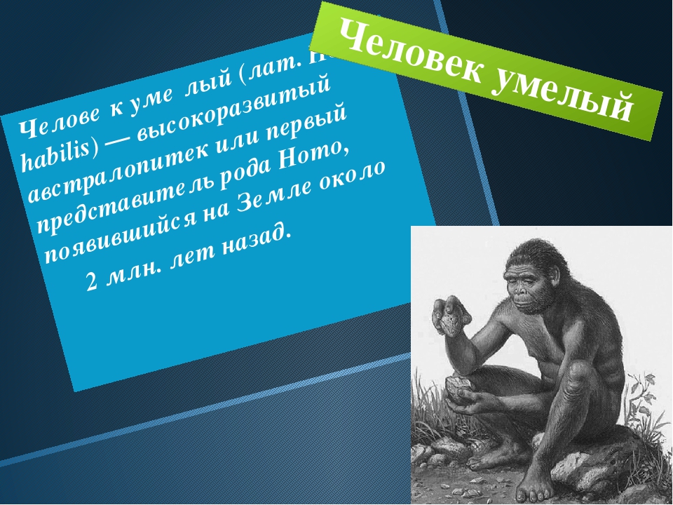 Презентация по биологии 5 класс как появился человек на земле пономарева