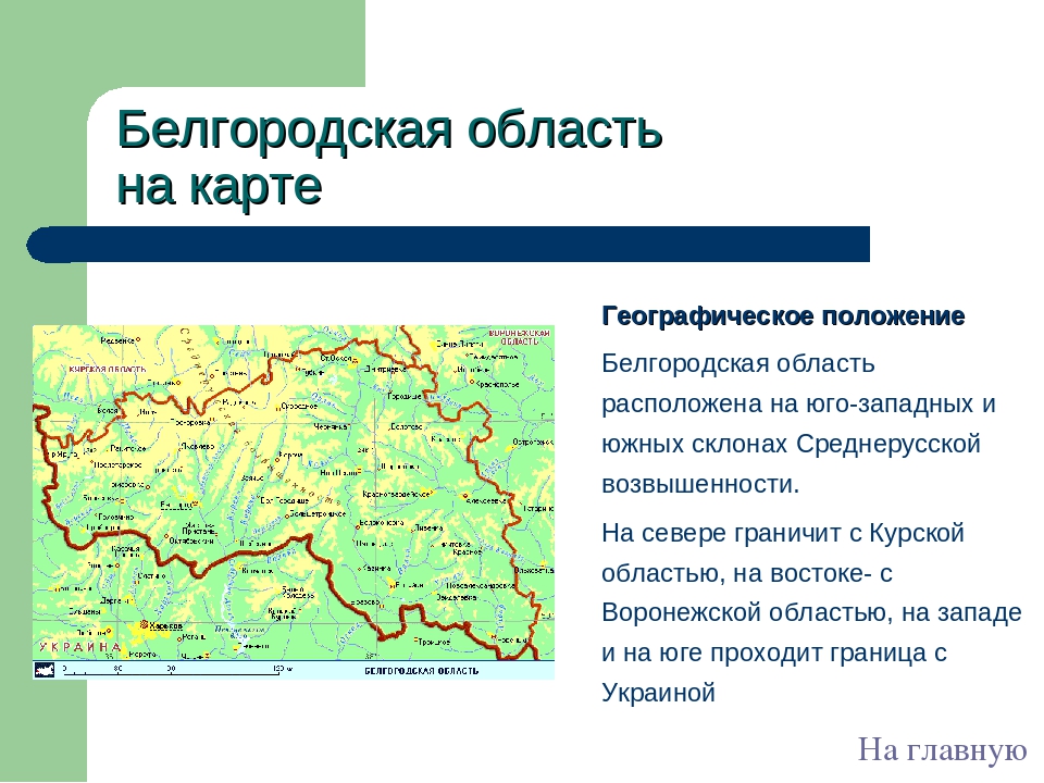 Белгородская какая область. Положение на карте Белгородской области. Белгородская область расположение. Карта физико-географического положения Белгородской области. Географическое положение Белгородской области.