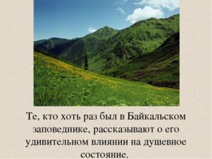 Те, кто хоть раз был в Байкальском заповеднике, рассказывают о его удивительн