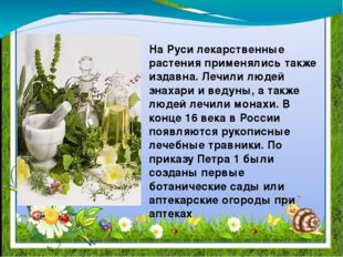 На Руси лекарственные растения применялись также издавна. Лечили людей знаха