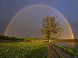 Вторичная радуга Иногда можно увидеть ещё одну, менее яркую радугу вокруг пер
