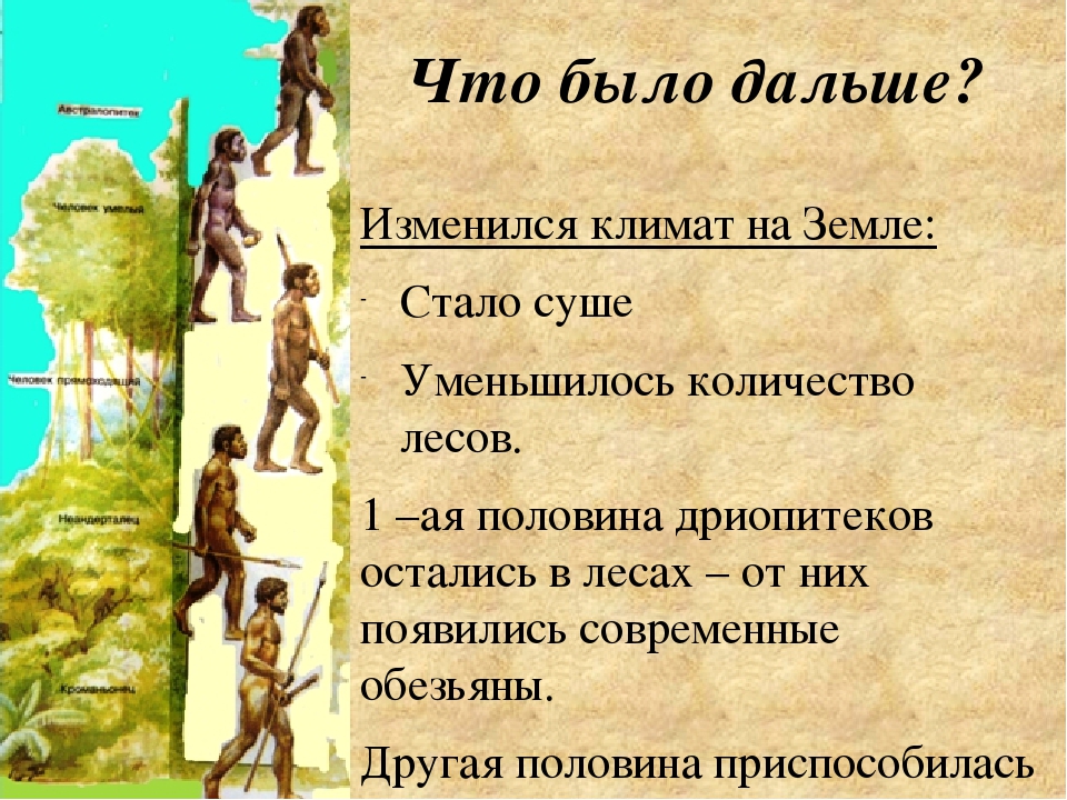 Презентация по биологии как человек появился на земле 5 класс презентация