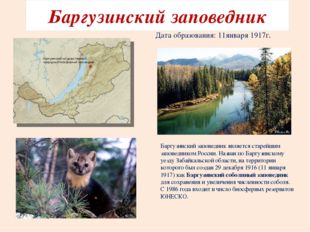 Баргузинский заповедник является старейшим заповедником России. Назван по Бар