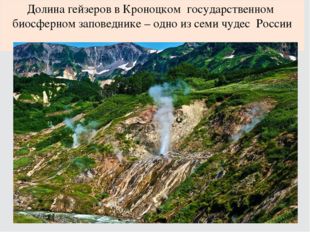 Долина гейзеров в Кроноцком государственном биосферном заповеднике – одно из