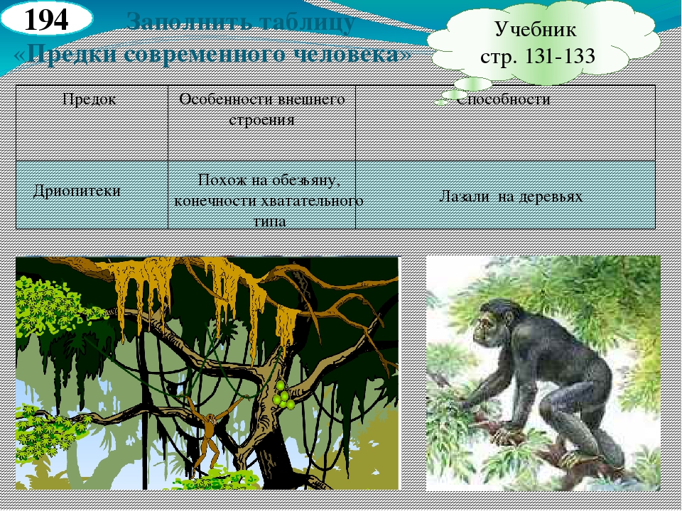 Презентация по биологии 5 класс как появился человек на земле пономарева