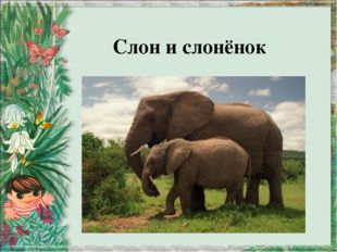 Слон и слонёнок 