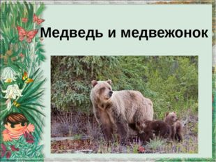 Медведь и медвежонок 
