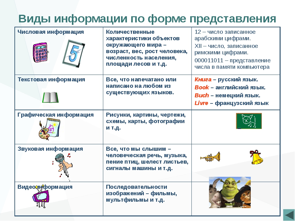 Виды текстовой информации. Информация вокруг нас. Виды информации по форме представления. Числовая форма представления информации. Виды информации по форме предоставления.