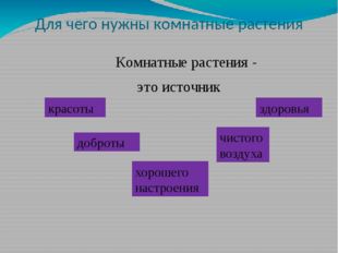 Для чего нужны комнатные растения Комнатные растения - это источник красоты х