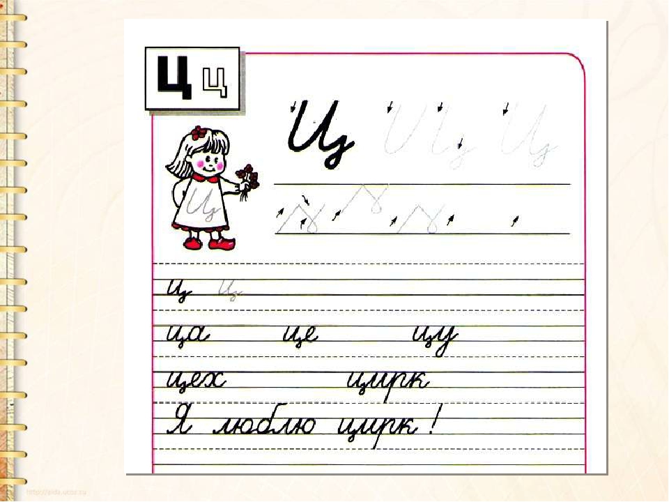 Текст 1 класс буква ц. Буква ц прописная 1 класс. Письмо заглавной буквы а. Письменная строчная буква ц. Письмо строчной и заглавной буквы и.