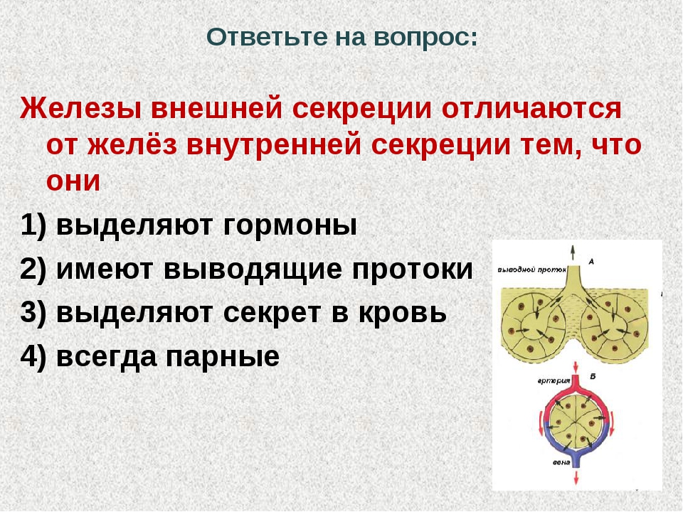 Какие из перечисленных желез. Железы внешней секреции гормоны. Железы внешней секреции гормоны и функции. Железы внешней и внутренней секреции 8 класс биология. Функции желёз внешней секреции.