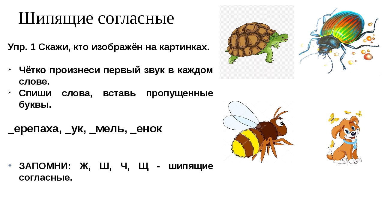 Русский язык 1 класс шипящие согласные звуки презентация