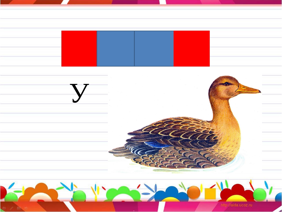 Разбор слова курица. Карточки с буквами. Буква и наглядность. Курица схема 1 класс. Звук и буква а строчная.