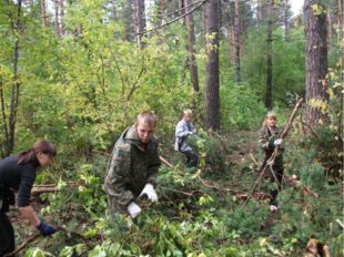 РАСТЕНИЕВОДСТВО делится на более мелкие отрасли, каждая из которых имеет очен