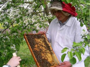 ЖИВОТНОВОДСТВО В животноводстве также производят продукты питания ,которые уд