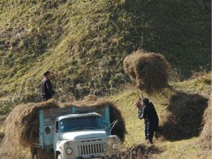 КОЛХОЗЫ И СОВХОЗЫ Долгие годы после установления советской власти именно колх