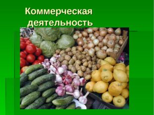  Коммерческая деятельность 