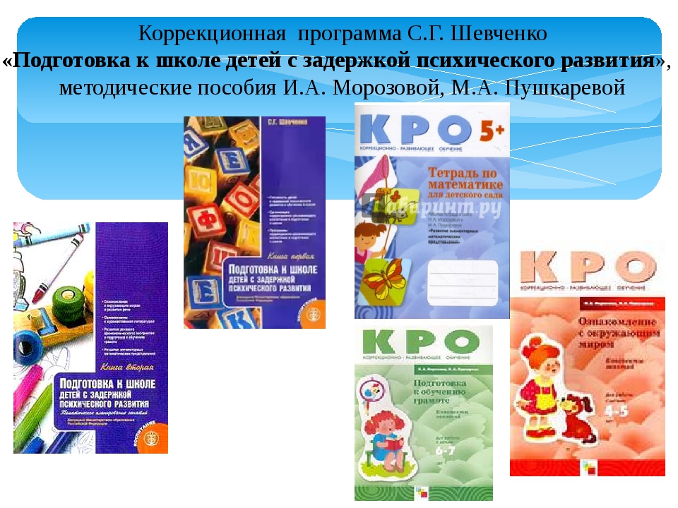 Фаоп зпр доу. Шевченко программа подготовки к школе детей с ЗПР. Подготовка к школе детей с ЗПР под ред с.г.Шевченко. Шевченко подготовка к школе детей с ЗПР. С Г Шевченко подготовка к школе детей с ЗПР.