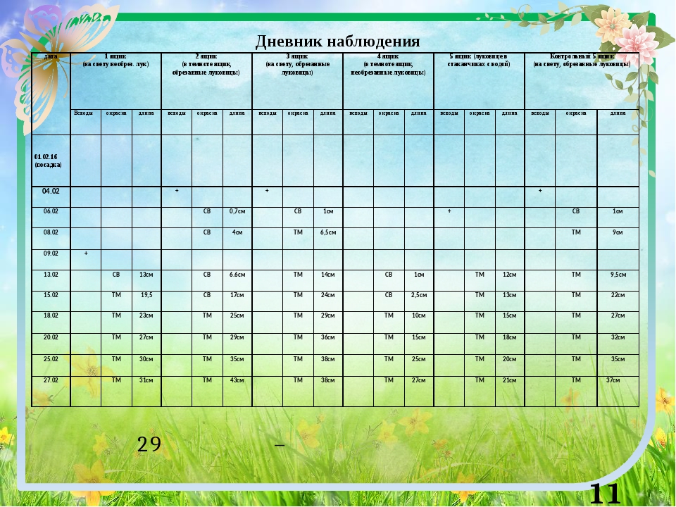Примеры наблюдений за растениями. Таблица наблюдения. Дневник наблюдений. Календарь наблюдений за растениями. Дневник наблюдений за растениями.