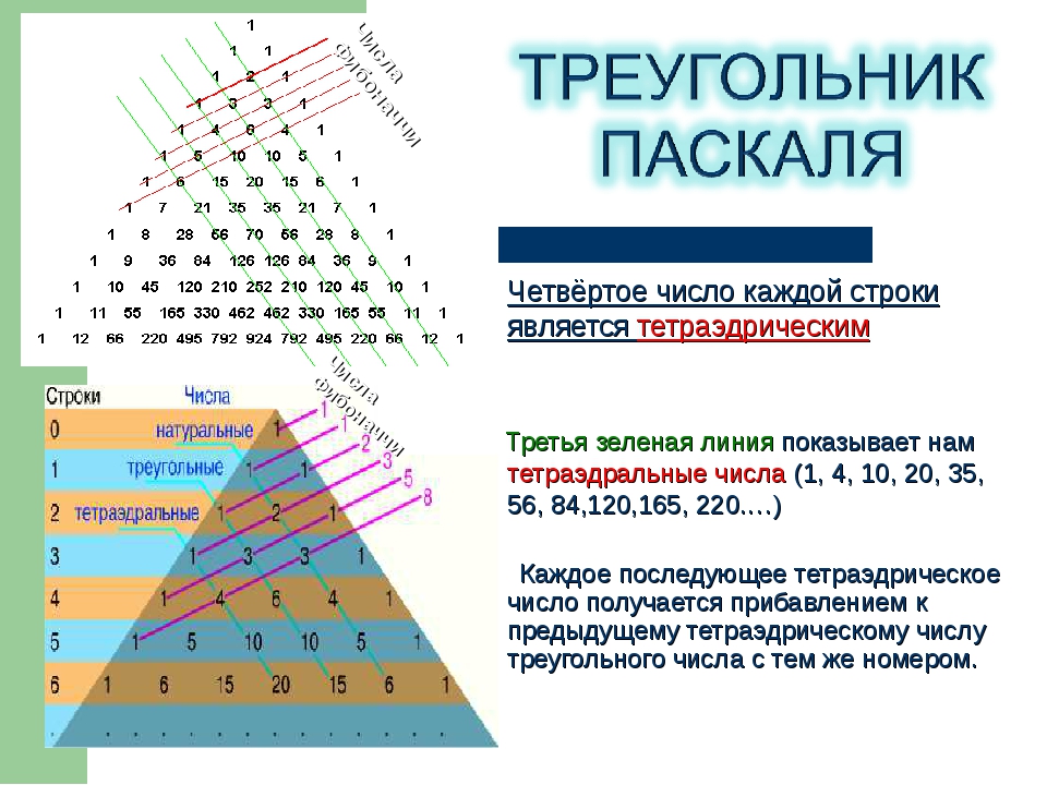 Треугольник pascal