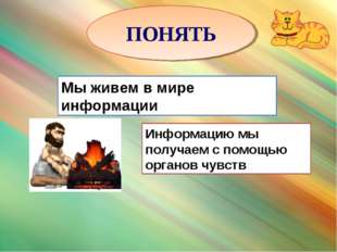 Мы живем в мире информации ПОНЯТЬ Информацию мы получаем с помощью органов чу