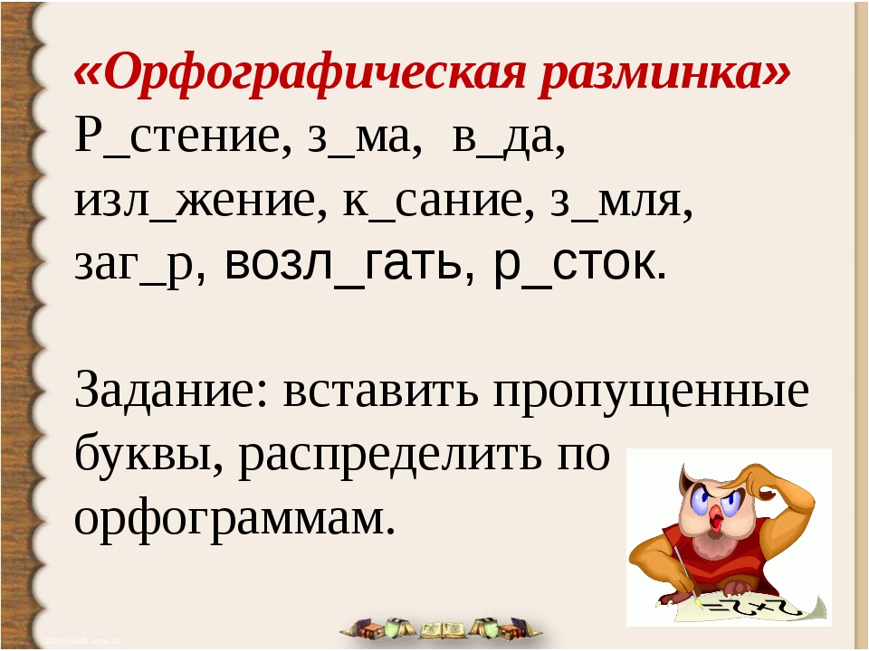 Орфографическая минутка карточки. Орфографическая разминка 5 класс русский язык. Орфографическая разминка 6 класс. Разминка 5 класс русский язык.