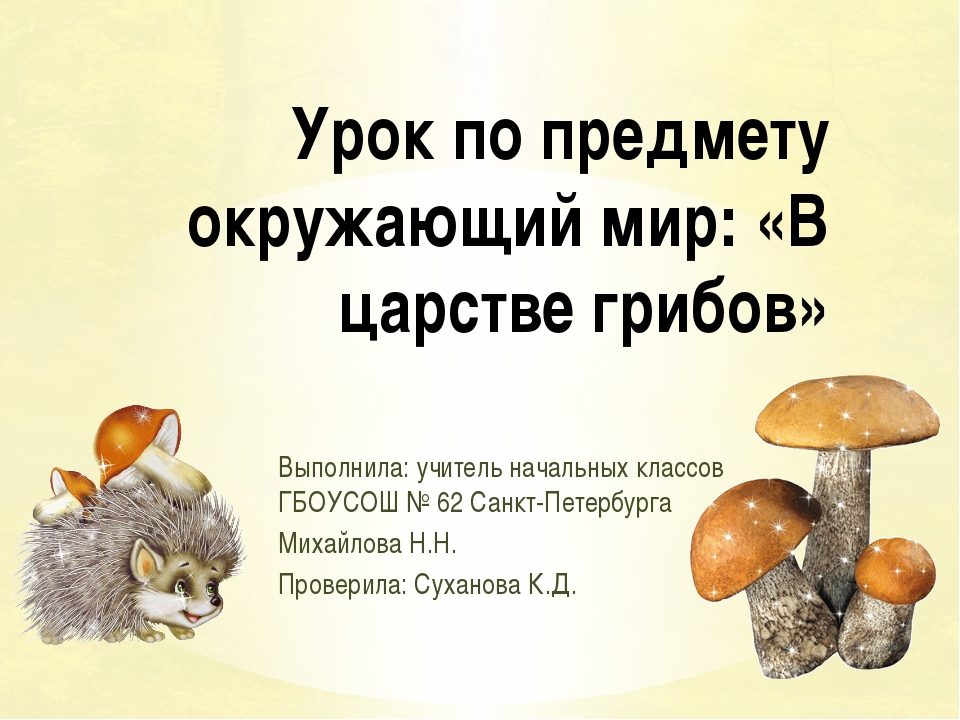 Грибы презентация 3 класс. Проект мир грибов. Царство грибов 2 класс. Проекты про грибы в начальной школе. Грибы по окружающему миру 2 класс.