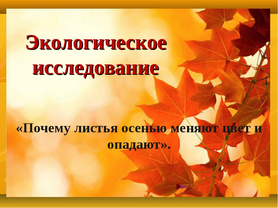 Почему осенью. Почему листья меняют цвет осенью и опадают. Почему осенью листья меняют окраску и опадают. Почему опадают листья осенью. Почему листья меняют окраску.