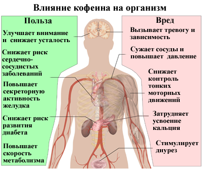 Энергетики и их влияние на организм подростка, взрослого, детей. Сколько можно пить