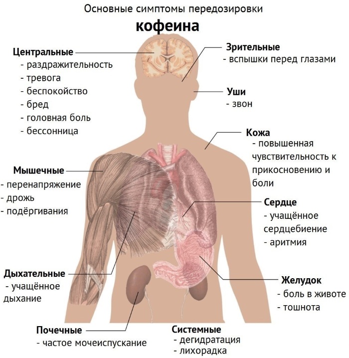 Энергетики и их влияние на организм подростка, взрослого, детей. Сколько можно пить