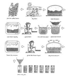 coffee process