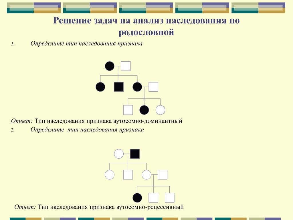 Задачи на составление родословной. Родословная типы наследования. Типы наследования генетика родословные. Родословная генетика аутосомно доминантный. Тип наследования признаков родословная.