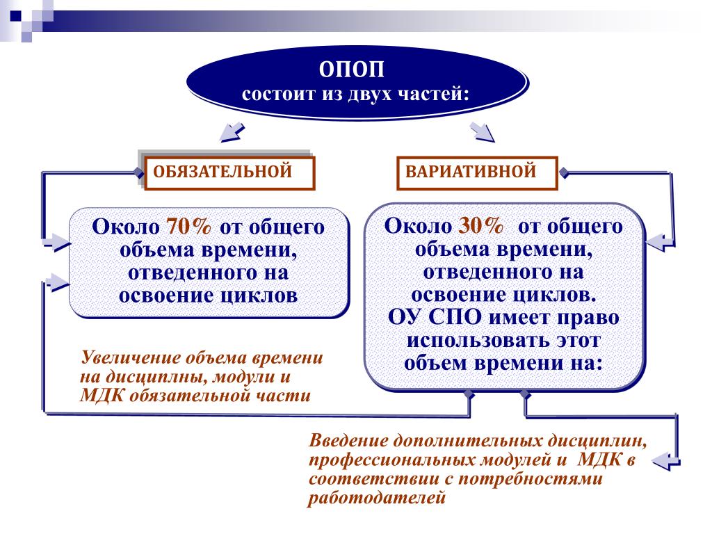 Адаптационные дисциплины в учебном плане спо