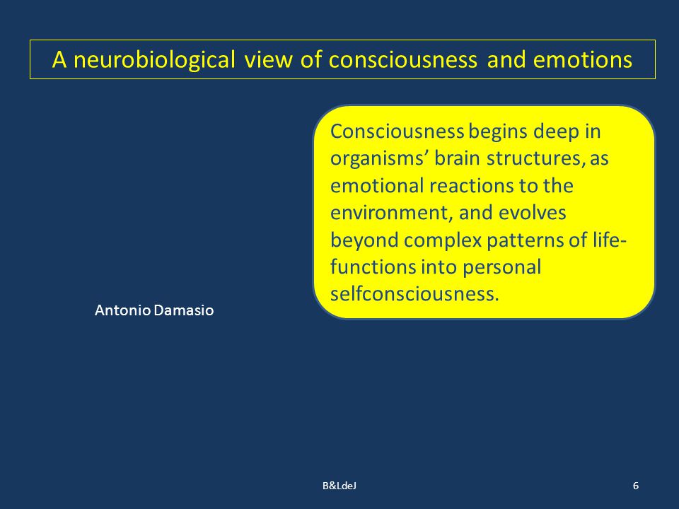 B&LdeJ6 A neurobiological view of consciousness and emotions Consciousness begins deep in organisms’ brain structures, as emotional reactions to the environment, and evolves beyond complex patterns of life- functions into personal selfconsciousness.